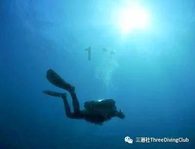 疯狂的小偷